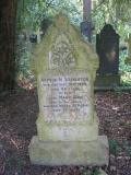 image of grave number 156321